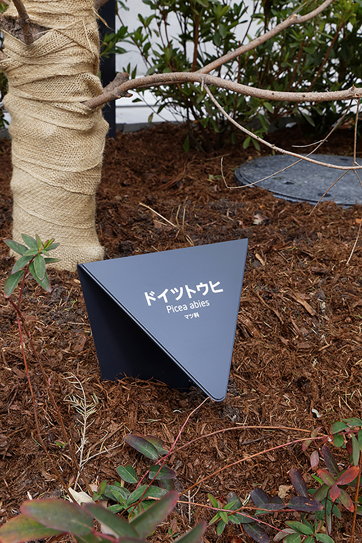 大阪商業大学「ユニバーシティ・コモンズ リアクト」サイン計画