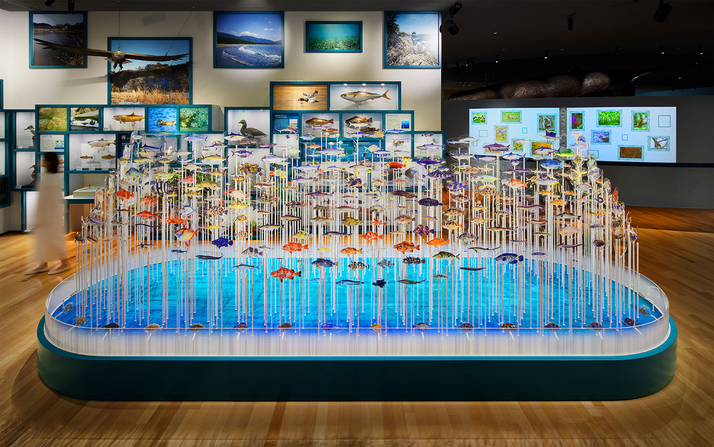 陸前高田市立博物館