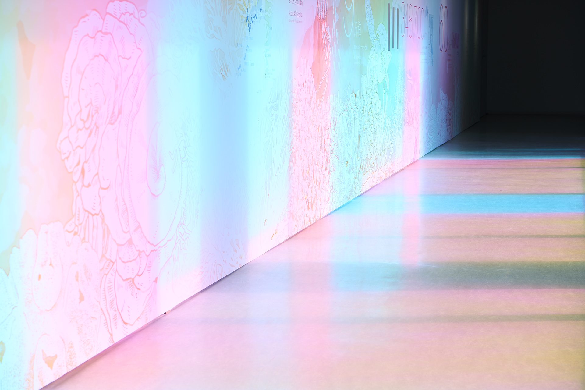 特別展「いのちぐるぐるサンゴ展」