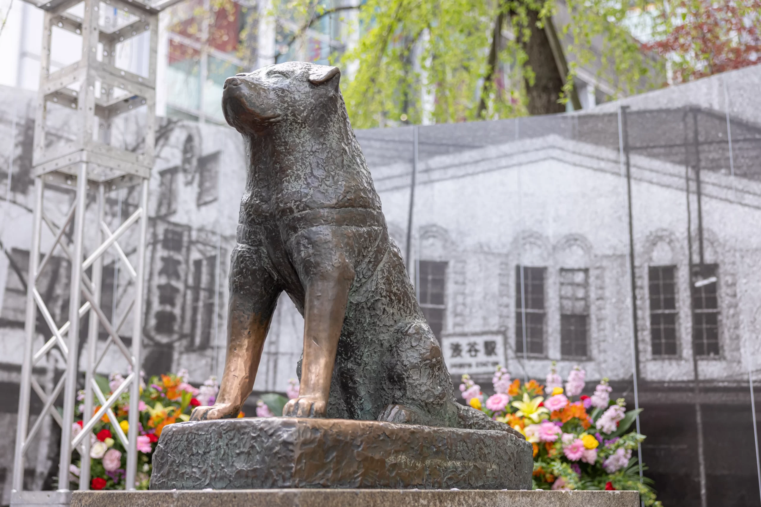 「忠犬ハチ公銅像」の渋谷シンボルとしての貢献に対して