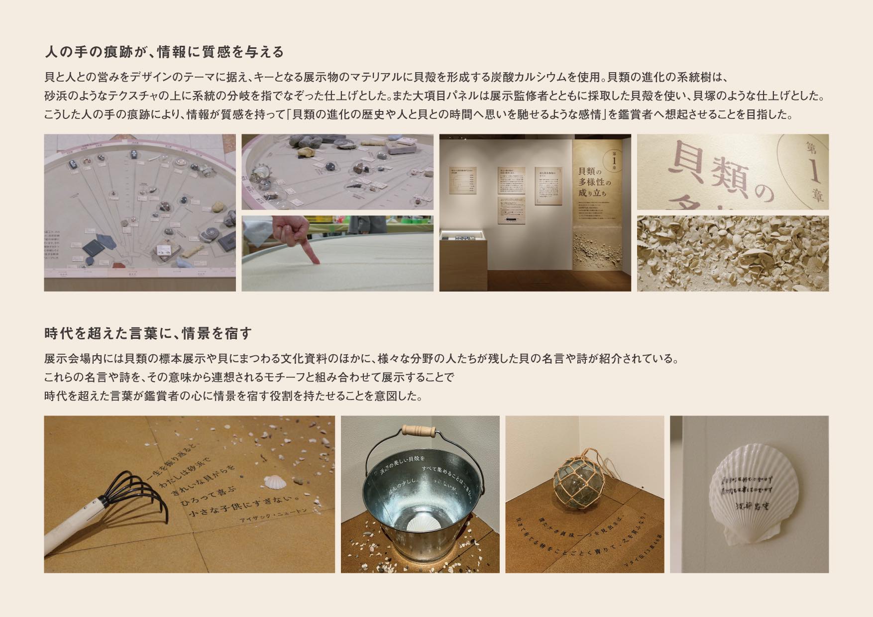 貝類展　人はなぜ貝に魅せられるのか